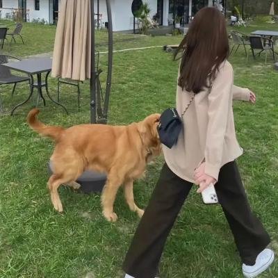 足不出户